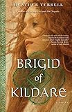 Brigid of Kildare: A Novel by Heather Terrell