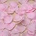 eBoot 1000 Pieces Silk Rose Petals Wedding Party Flower Favors (Pink)