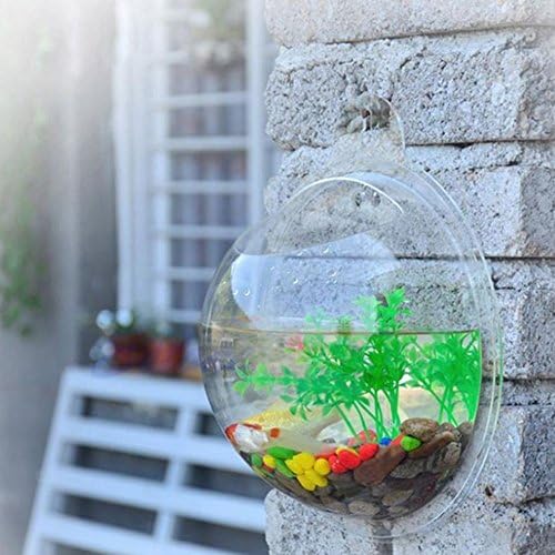 Mount tank vase, CONMING Wall Mounted Fish Tank Bubble Bowl Hanging Flower Pot Plant Vase Aquarium Home Decoration ( Transparent )