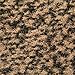 casa pura Entrance Mat - Beige Black - 16