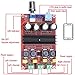 Audio Amplifier Board, Yeeco Dual Channel 100W+100W Digital Power Amplifier Board DC 12-24V 15V 20V Car Audio Stereo AMP Module with Volume Knob and 3.5MM Audio Input for Audio System DIY Speakers