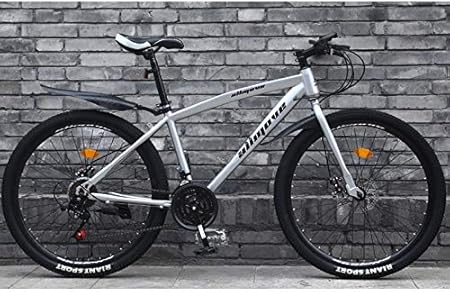 road bike for 300 lb man