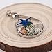 Chicer Pendant Real Starfish Seashell Underwater Plant Life Necklace, Cute Drop Water Necklace for Women and Girls. (Blue)