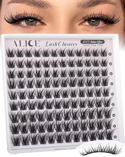 ALICE Wispy Natural Lash Clusters