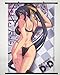 Wall Scroll Poster Fabric Painting For Anime High School DxD New Himejima Akeno 030 L
