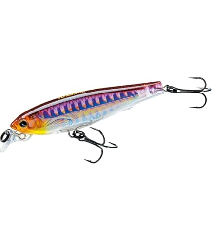Amazon.com : Yo-Zuri F1157 HHAY 3DS Minnow Suspending Lure, 4-Inch