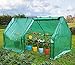 Quictent Upgraded Large Door Portable Mini Greenhouse Green Garden Hot House Grow Tent More Size (71