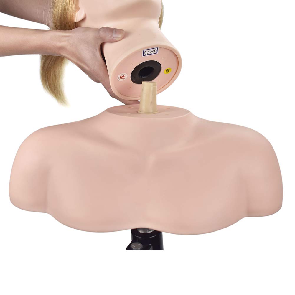 ErSiMan-AW Cosmetology Mannequin Head Bust Just Shoulder Platform Shoulder for Training Practice Manikin Head Shoulder Model