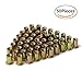 URBEST® 50 Pcs Steel Rivet Nut Rivnut Insert Nutsert 5/16-18 Y