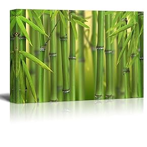 Green Bamboo Trees with a Leaves