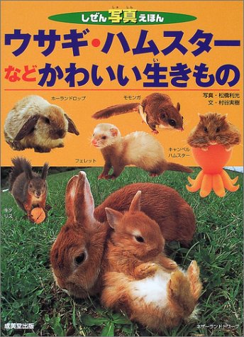 ウサギ ハムスターなどかわいい生きもの しぜん写真えほん 村谷 実樹 利光 松橋 本 通販 Amazon