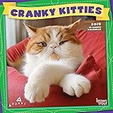 Avanti Cranky Kitties 2019 7 x 7 Inch Monthly Mini Wall Calendar, Angry Cat by 