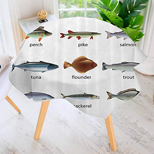 Philiphome Round Tablecloth-Group of Fish with Perch Tuna Pike Flounder Mackerel Trout Aquatic Artwork Waterproof Wine Tablecloth Wedding Party Restaurant 63" Round