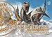 Monster Hunter Illustrations by 