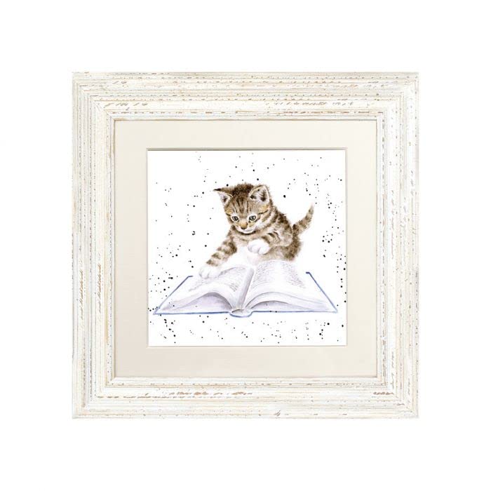 Wrendale Designs "Book Worm" Cat Framed Picture in Various Frame Colours (White)