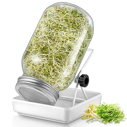 ecooe Sprossen SJFC01-N Germination Glass Set of 1 Germination Glasses for Sprouting Jar with 1 Water Bowl 1 Filter Mesh Cover Made of 304 Stainless Steel and 1 Stand