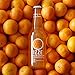 IZZE Sparkling Juice, Clementine, 4 Count, 12 oz Bottles