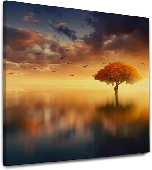 Art Vvies Sonne Wasser Wolken Spiegeln Kelle Bilder Himmel Sommer