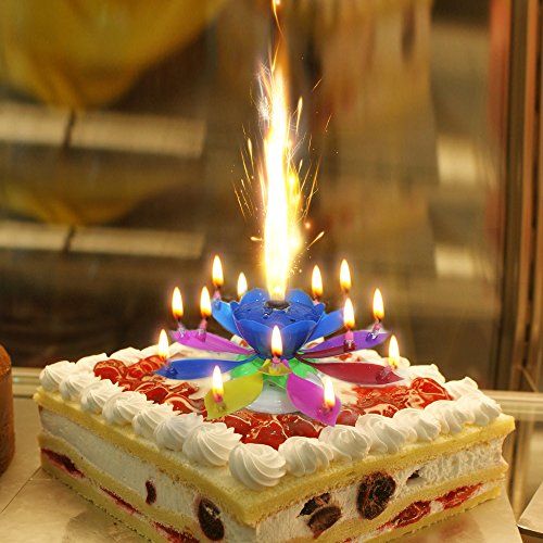Easy Gift® The Amazing happy Birthday candle Romantic musical flower