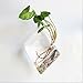 AWEVILIA Wall Hanging Plants Planter Terrariums Glass Diamond Shape Vase Creative Fashion Home Decor Wall Plants