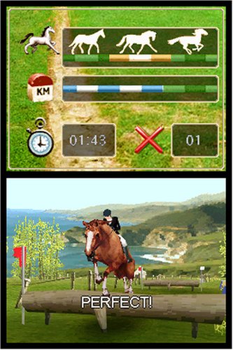 Amazon Com Horse Life Nintendo Ds Artist Not Provided Video Games
