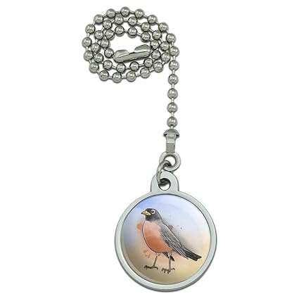 Amazon Com Graphics More Robin Watercolor Northeastern Bird