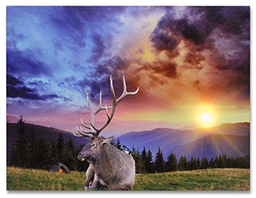 Deer Picture - LED Big Buck Wrapped Canvas Print - Wildlife Wall Decoration - Deer Decor - Glowing Canvas Picture - 16x12 Inch