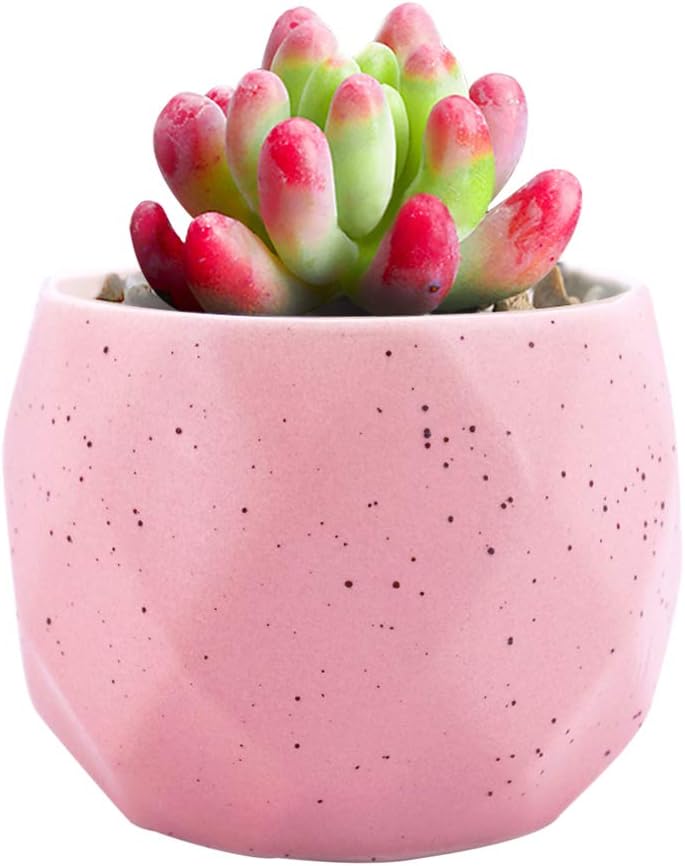 GeLive Geometric Succulent Plant Pot Diamond Macaron Ceramic Planter Windowsill Box Modernistic Home Decoration (Pink)