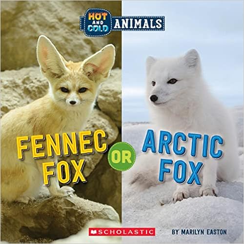 fennec bolsas