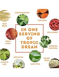 Nueva zurvita Zeal para la vida Tropic Dream Wellness Canister – 30 días, 420 g