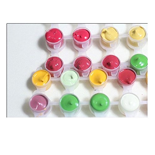 DIY Oli Painting Paint By Number Kit With Brush for Adults Beginner, Funny Cat Flute 16Â¡Ã20 Inch