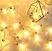 Glass Jar String Lights, DecorNova 7.2 feet 15 LEDs IP44 Waterproof 8 Modes Outdoor LED Fairy String Lights with 3AA Battery Box, Warm White