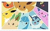 Pokemon Eevee Evolution Playmat
