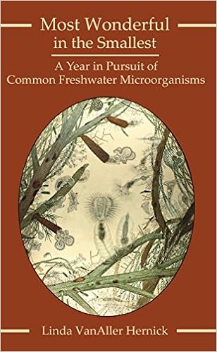 Amazon Com Most Wonderful In The Smallest A Year In Pursuit Of Common Freshwater Microorganisms 9781935778370 Linda Vanaller Hernick Books