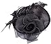 Womens Fascinator Hat with Headband Feather Mesh Flowers