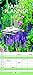 2017 Gardens Family Planner - 19.5 x 45cm by