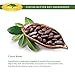Unrefined Organic Cocoa Butter Raw/Food Grade Perfect for Skin Care, Keto Snacks, Lip Balm, Body Lotion, Stretch Mark Cream, Bar Soap, Body Butter, Hair Care, Cacao Butter Soap Making Base (16 oz)