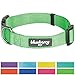 Blueberry Pet Essentials Dog Collar | Adjustable Girl Dog Collars for Medium Dogs | Neon Green Puppy Collar | Classic Nylon Dog Collars for Small Dogs | Pet Accessories