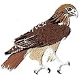 Red-Tailed Hawk Bird Embroidered Iron on Patch