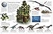 DK Eyewitness Books: Dinosaur