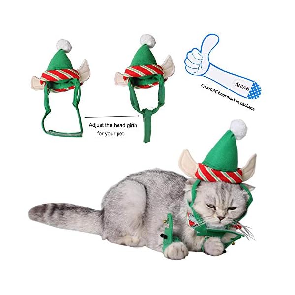 elf costume cat