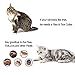 Flea Tick Collar for Dogs and Cats (Grey) - Repel & Prevent Fleas, Pests, Insects,Water Resistant,8 Month Protection,One Size Fits All(New Version) (20180207-Cat)