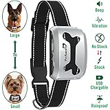 PetAmenity Anti Bark Collar image large PetAmenity Anti Bark Collar image large
