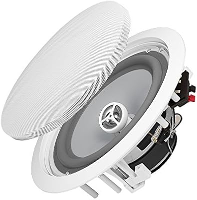 Osd Weatherproof In Ceiling 8 In Wall Weather Resistant Speaker