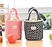 Paymenow Thermal Insulated Lunch Box Cooler Bag Tote Bento Pouch Lunch Container Handbag(Black)