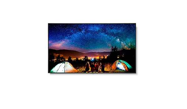 Amazon.com: NEC Display V864Q 86 