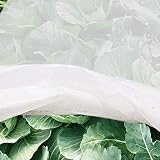 H&B Luxuries Plant Cover & Frost Protection Blanket for Seed Germination, Shrubs & Trees from Being Damaged, Bad Weather or Pests, White (5'x32')
