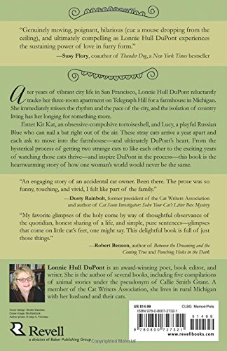 Kit Kat and Lucy: The Country Cats Who Changed a City Girl's World - //coolthings.us