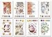 Chameleon Art Products, Chameleon Color Cards, 8 Designs - Sweet Treats