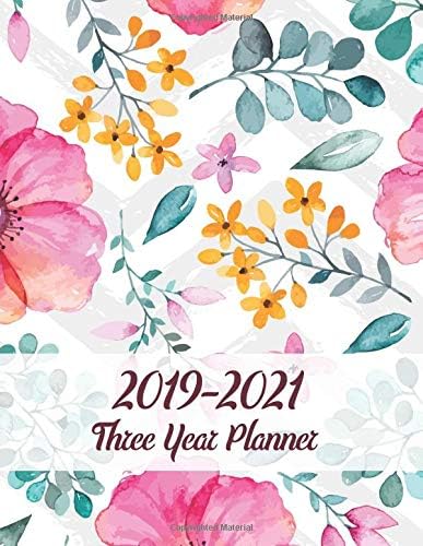 Three Year Planner 2019-2021: 36 Month Yearly Planner Monthly Calendar V13 Paperback – October 2, 2018